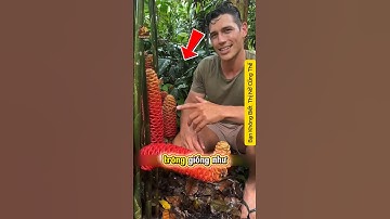 Càng Bóp Càng Ra Nước 💦💦#shorts #thinobiettuot  #amthuc