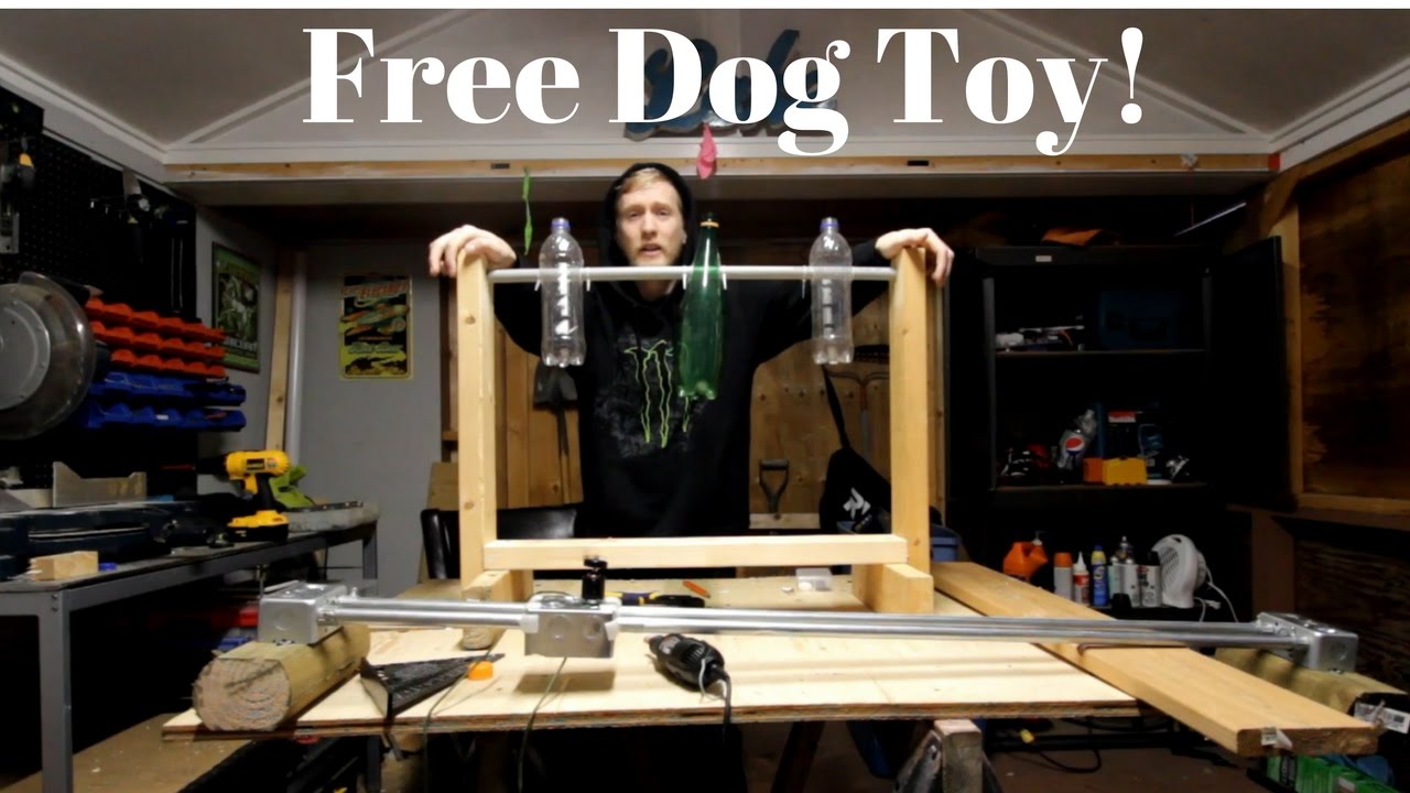 How to make a free dog toy! YouTube
