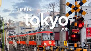 Life In Tokyoa Local Tokyo Walk Along The Setagaya Line