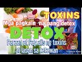 Mga pagkain na PANG DETOX nang katawan, paraan at pag alis ng mga toxins at lason sa katawan