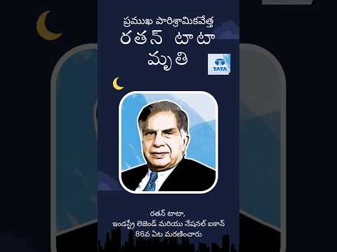 RATAN TATA, INDUSTRY