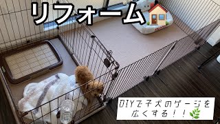 【DIY】子犬のゲージを広く改造しました！