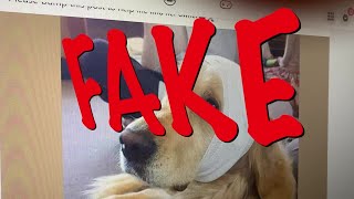 You may be sharing scams and not even know it