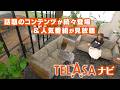 最近よく聞く「テラサ」って何?【2026年5月新着】人気動画サービス「TELASA(テラサ)」ナビ