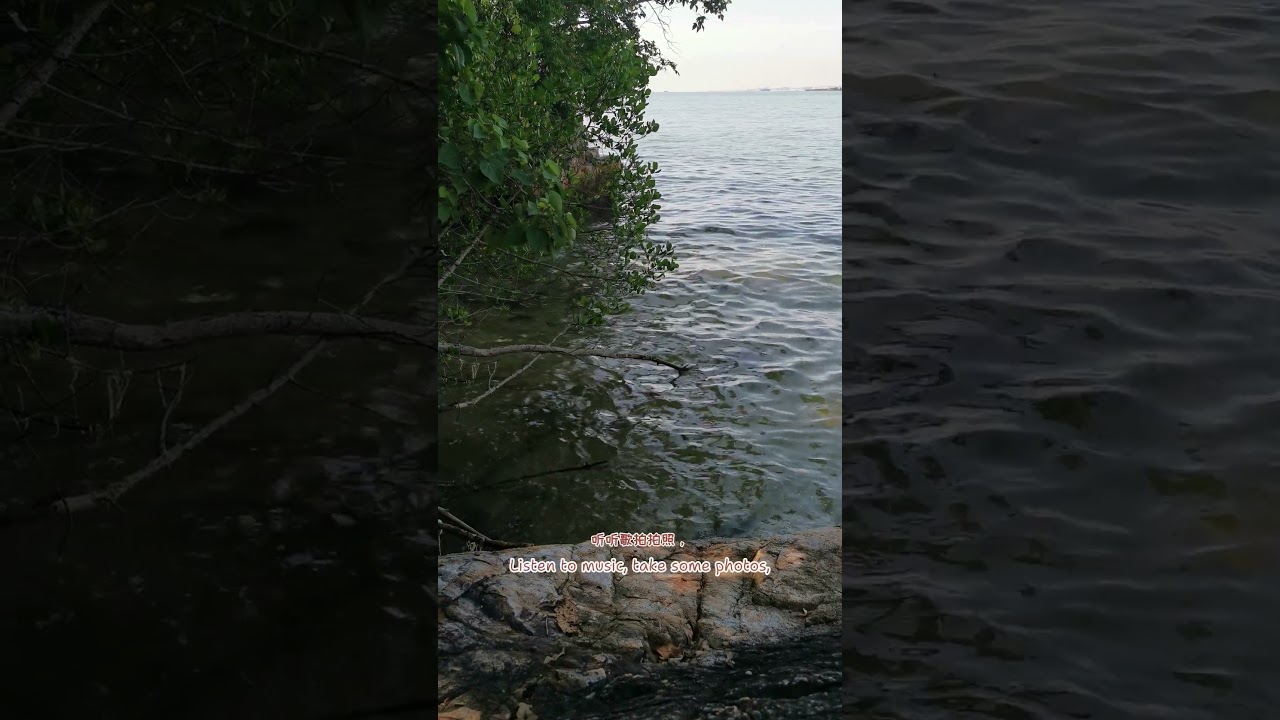 🌊Pulau Ubin Singapore🤗