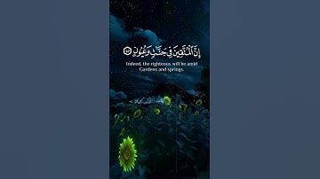 اكتب شيء تؤجر عليه يوم القيامة القرآن الكريم هزاع البلوشي
