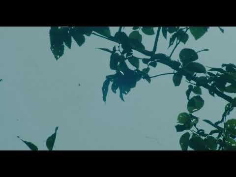 Muromuk - Viva (Official Video)
