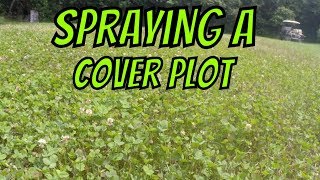 How to spray a clover food plot