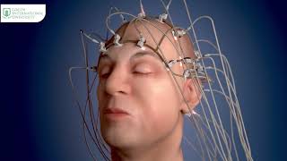 Electroencephalography - 3D Animation | Admissions Open - Spring 2024 | @studyatgiu