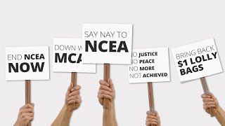 How to Get Involved with Politics | Civic Participation