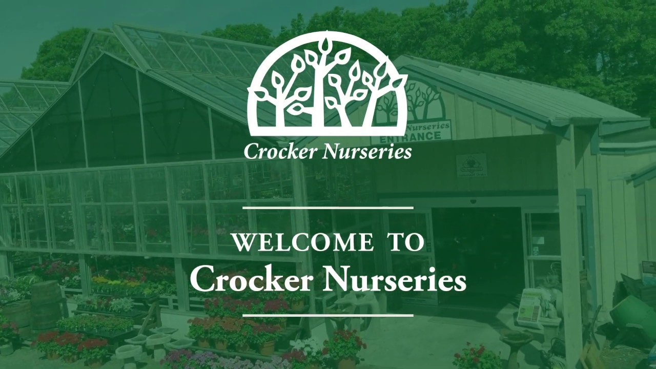 to Crocker Nurseries! NURSERY TOUR YouTube