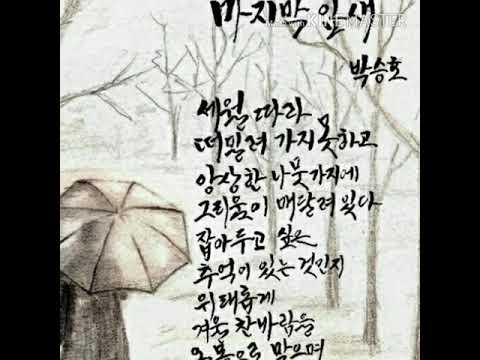 김 윤희 (비가내려 Rain Drop)