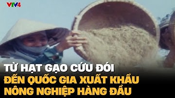 Từ hạt gạo cứu đói đến quốc gia xuất khẩu nông nghiệp hàng đầu | VTV4