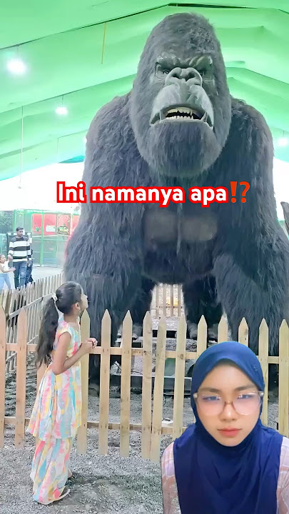 Apa namanya‼️