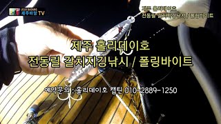 갈치지깅낚시 남들보다 많이 잡는 비법 폴링바이트 액션법을 알려드립니다.