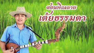 Video thumbnail of "สอนพิณลายเต้ยธรรมดาแบบละเอียด"