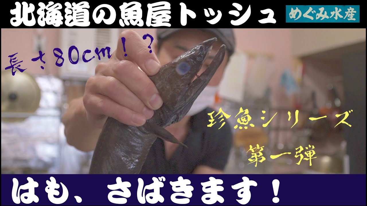 カラスハモ（イラコアナゴ）さばき方【白焼と蒲焼の作り方】