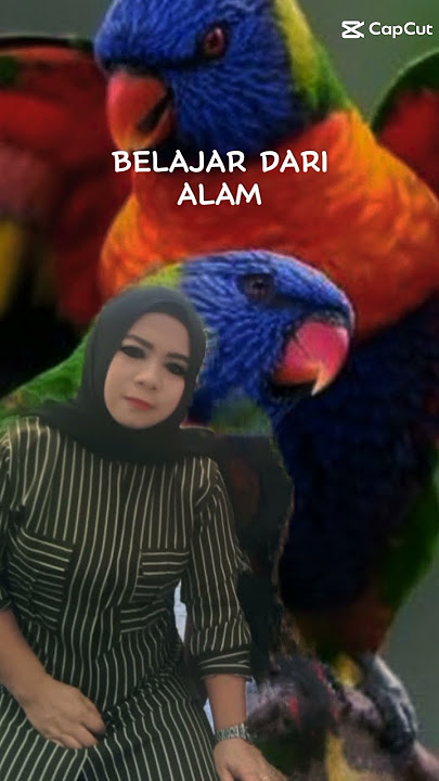 Tak ada waktu untuk prustasi👌