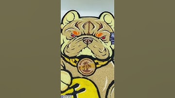 Huge Size Chenille patches by Master