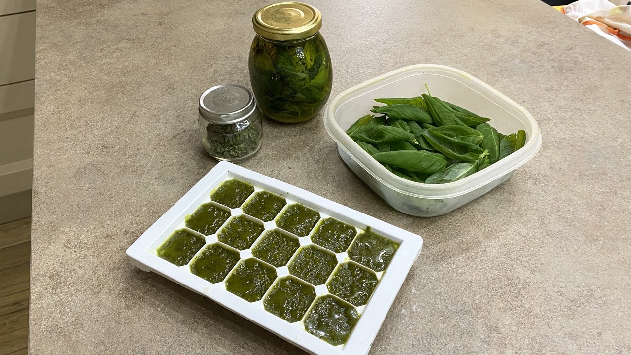 Come Conservare Il Basilico Youtube