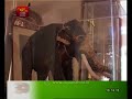 Dhaara | 2018-08-19 | Nadun Gamuwe Ath Raju| Documentary