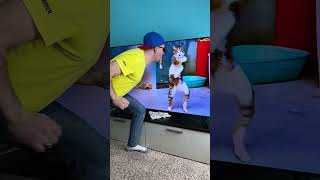 Gangnam Style Vs Cat Funnt Video 🤣 #Shorts