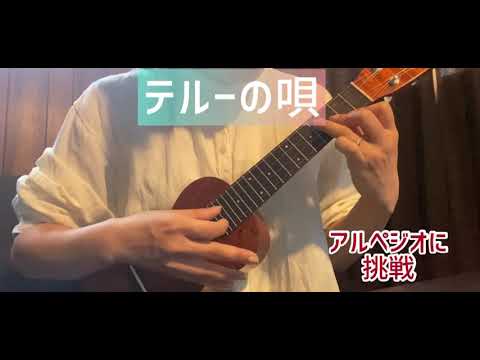 テルーの唄＊手嶌葵〜ゲド戦記〜(弾き語り)ウクレレ歴4ヶ月