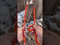 World Powerful knot #bowline #knotskill  #ropework #lifeskills #handmade #ropes #camping #howto