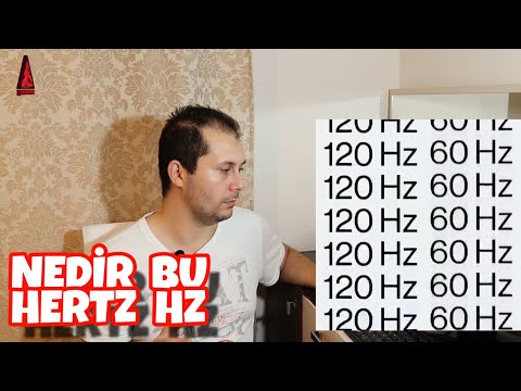 Video: Hertz'de ara araba nedir?