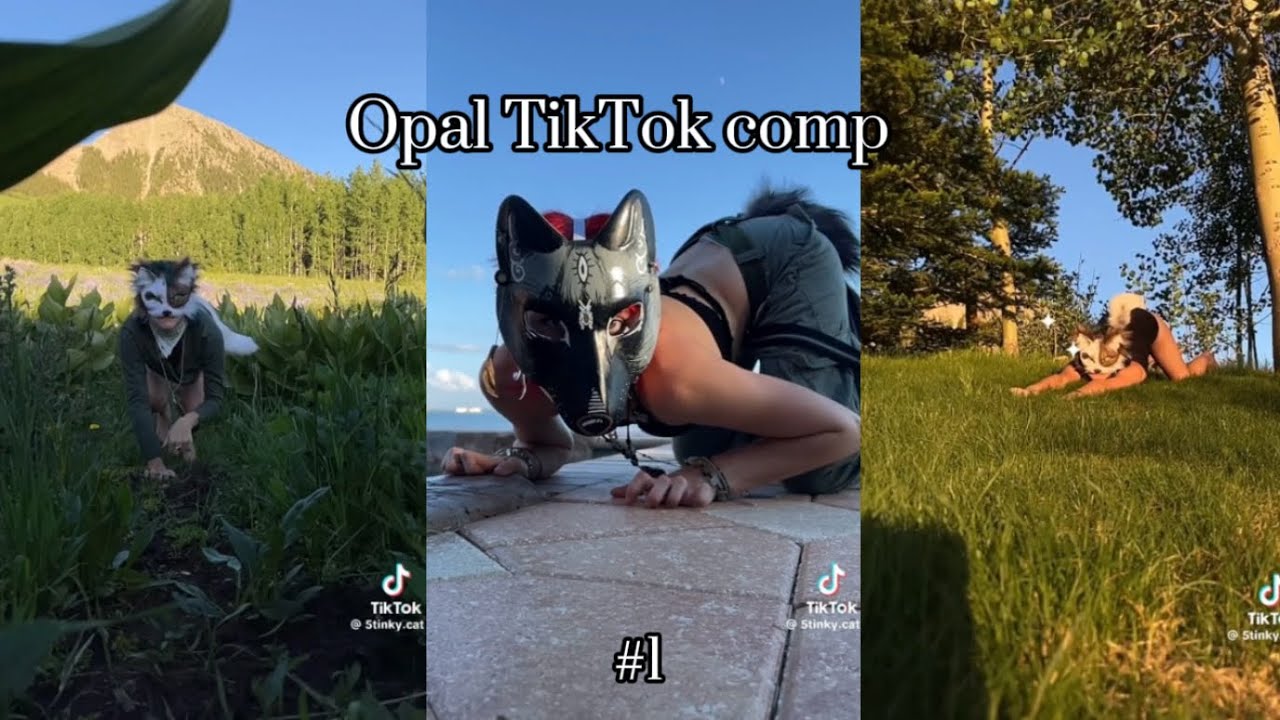 Opal TikTok compilation || #1 || - YouTube