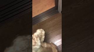 IMG 1353