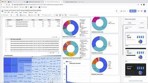 Custom Dashboards with Google D​ata Studio, NCI Imaging Data Commons
