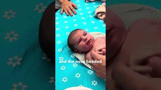 Newborn baby sneeze!! #baby #doctor