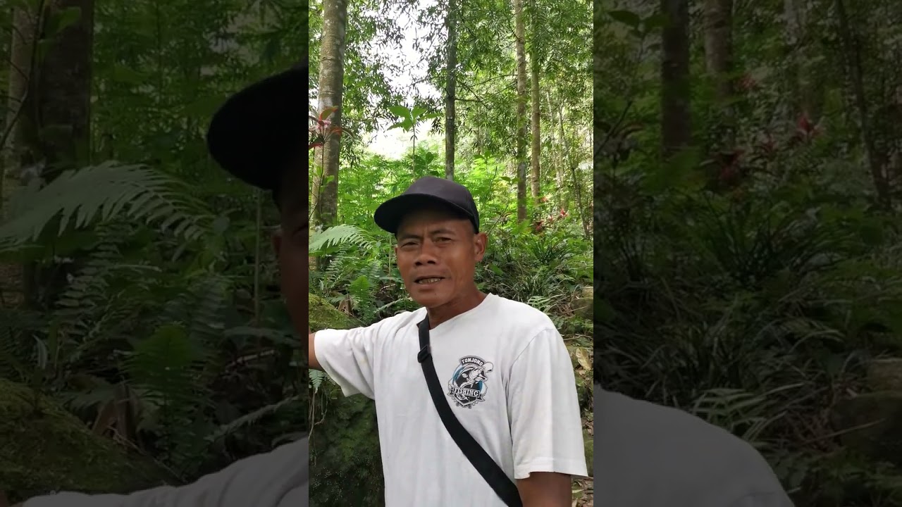 Sekarang Menjadi Tempat Ngumpul Mahkluk Halus 