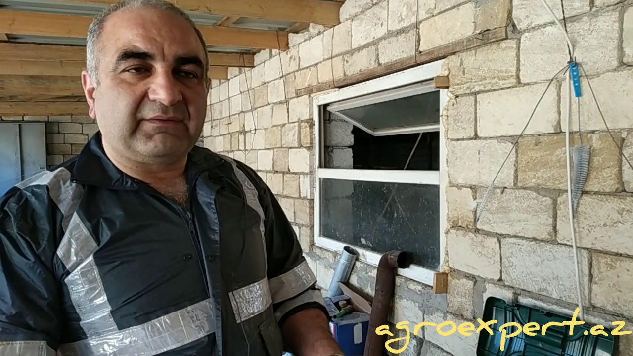 Süni mayalanma haqqında