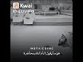 طريقه التعامل مع الام وبر الام الشيخ محمد الشنقيطي