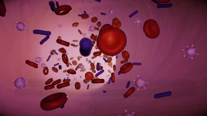 Ankle Brachial Index (ABI) made simple with the TM Flow System