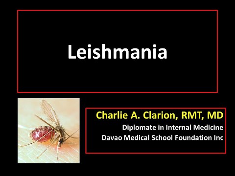 Video: Leishmania Spp. Koertel Ja Kass Katarist Dohas