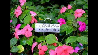 Paw Paw Everlast Garden Markers