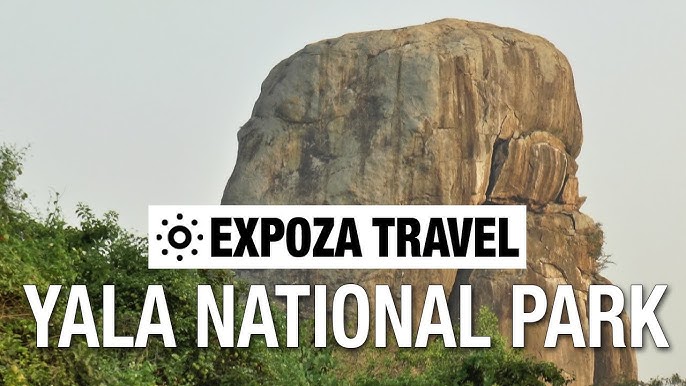 12 yoshli qizlarning seks videolari