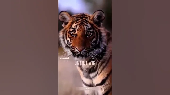 Sigma rule 😎🔥~ Attitude status 😈 | WhatsApp status | Attitude quotes #shorts #quotes #attitude