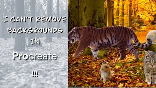 Removing an image background to use in procreate