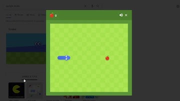 Google Snake Death% Speedrun (WR)