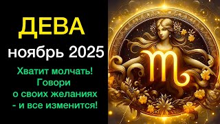 :     2025  