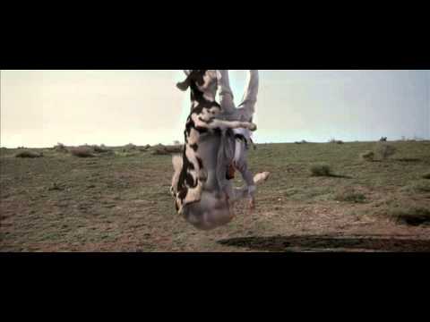 video mucca kung fu video mucca kung fu