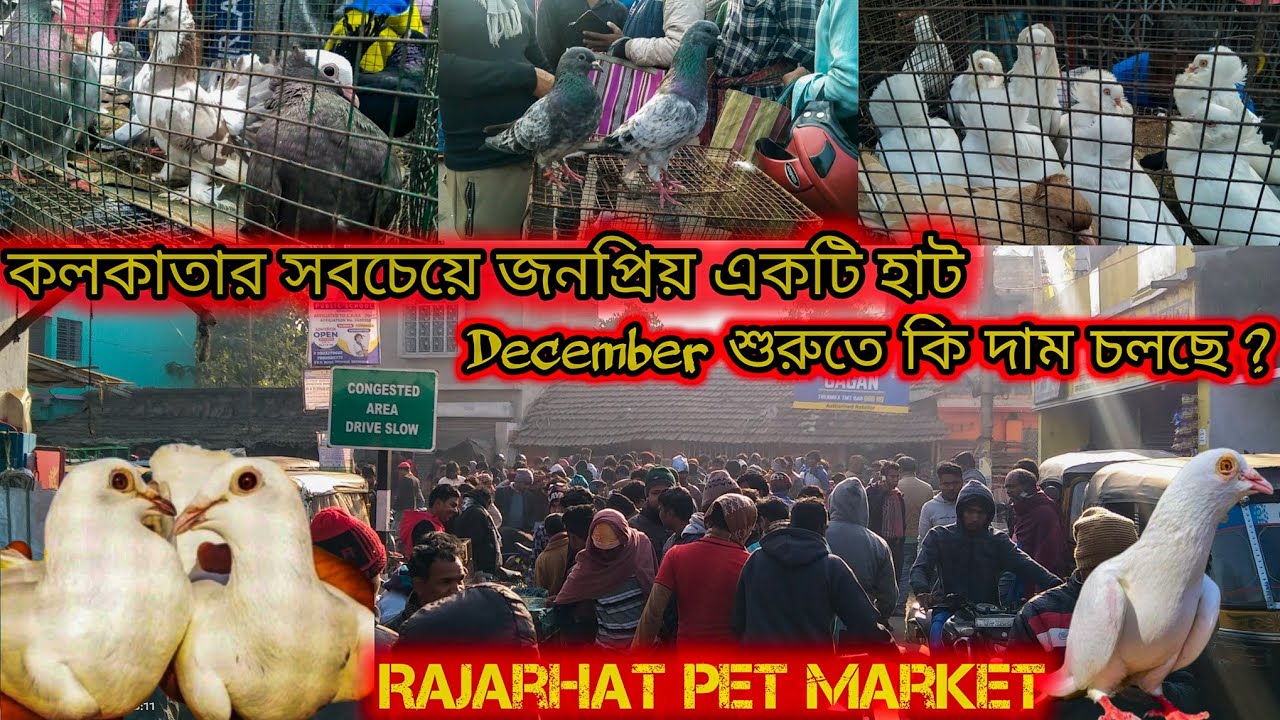 Sunday Morning Biggest Pet Market Of Rajarhat ll full information of ...