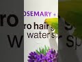 woow hair growth spray #shortsfeed #shortsvideo #youtubeshorts #ytshorts #shortsvideo