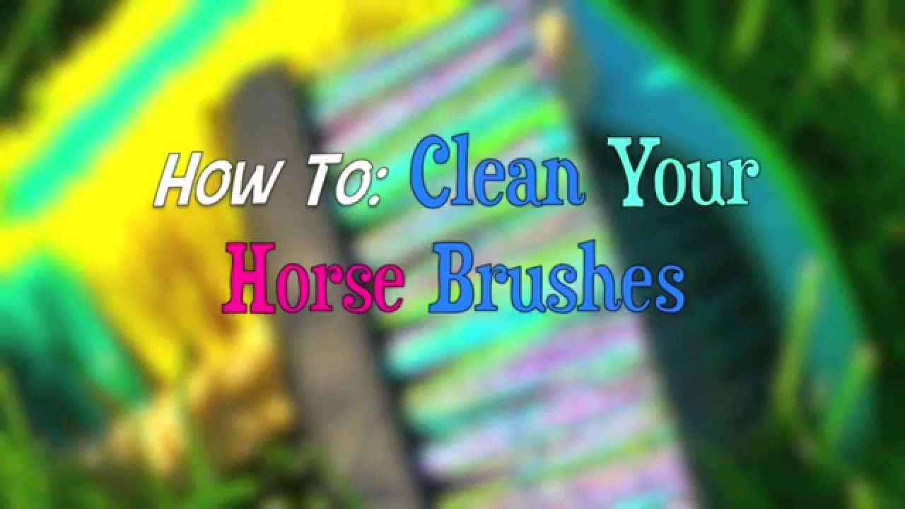 How To Clean Your Horse Brushes! YouTube