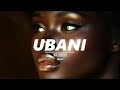 BAIBUDA Instrumental 2026 Jay Melody X Zuchu Type Beat UBANI Emotional Afrobeat Type Beat 