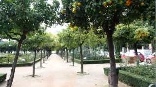 Malaga y Naranjas. Малага и апельсины